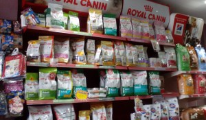 27.3.IMG_20160330_182655 - copia