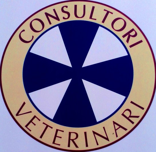 28._IMG_1443521699761 - copia